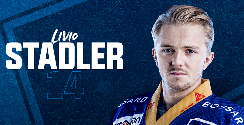 Der Erfolgsdruck im Spitzen-Icehockey