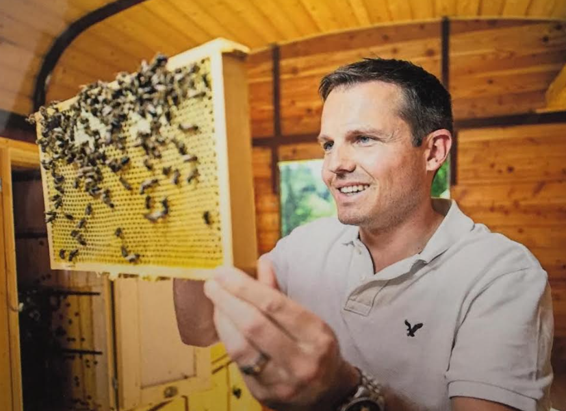 Honigbienen: Wächterinnen unserer Umwelt