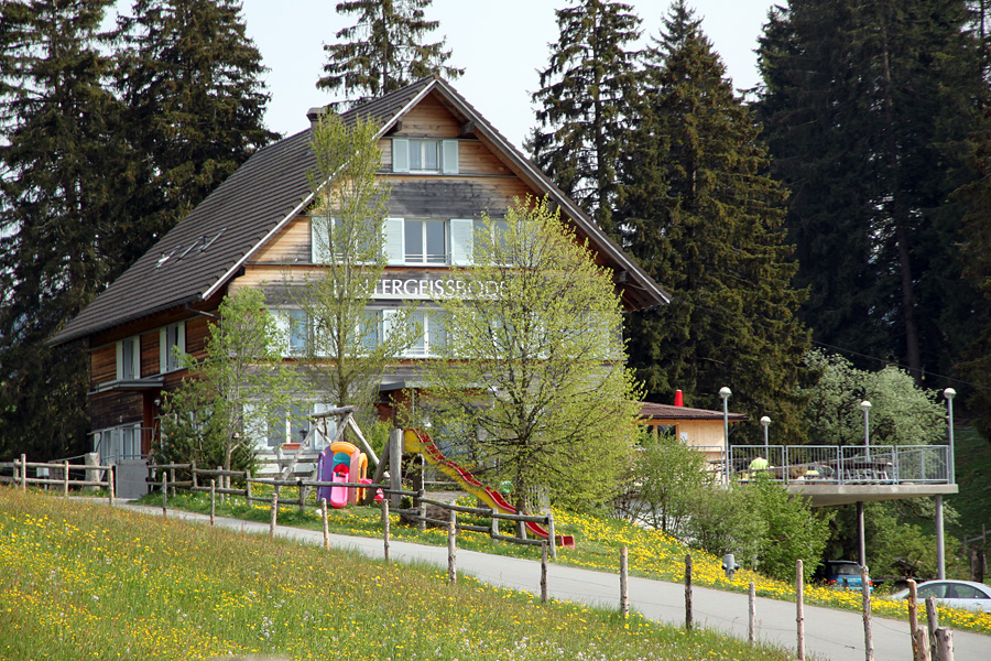 Frühlingsstamm für Berggänger